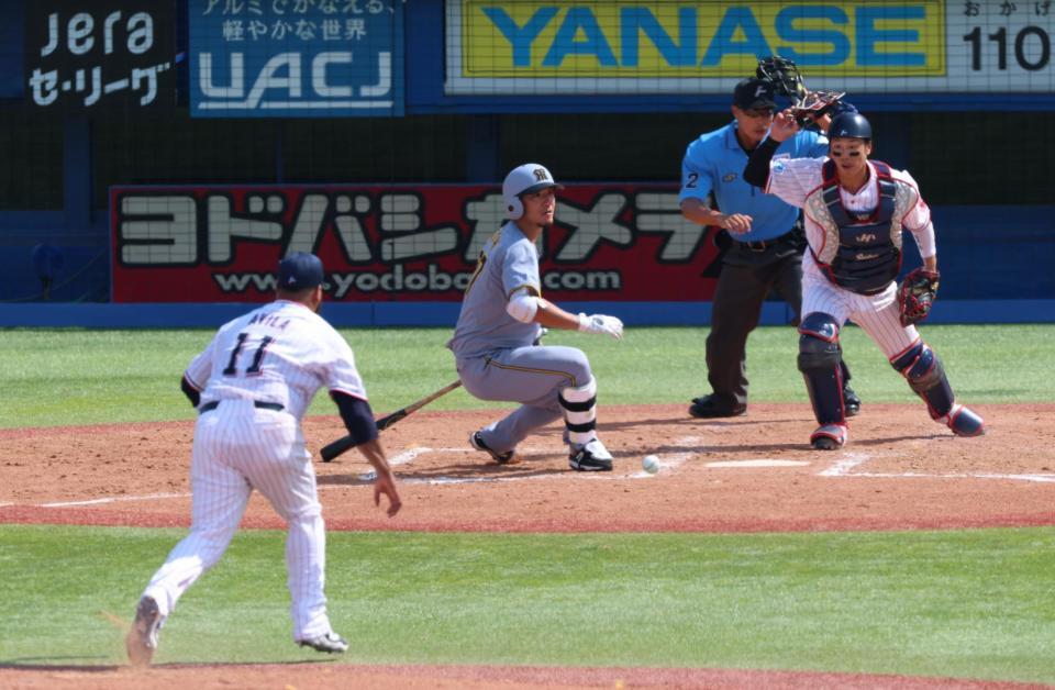 　５回、スクイズを決める伊藤将（撮影・金田祐二）