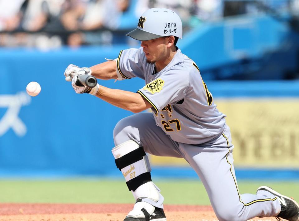 　５回、スクイズを決める伊藤将（撮影・田中太一）