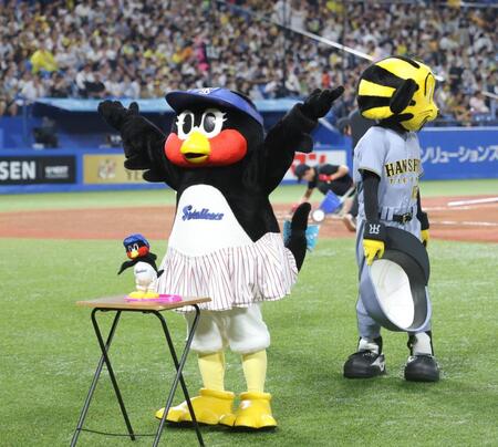 　トラッキー（左）と輪投げ対決をいんちきで成功させて喜ぶつばみ＝２７日