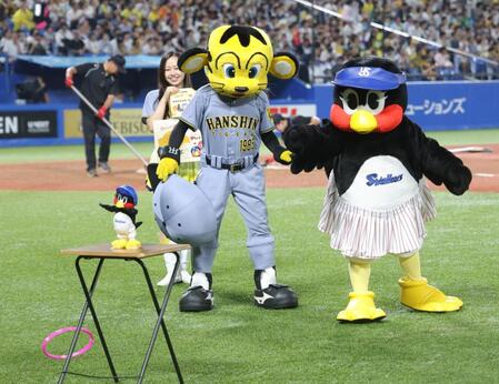 　トラッキー（左）と輪投げ対決で的を外すつばみ＝２７日