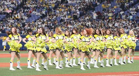 阪神 TigersGirlsが7・1から新ユニ「力強い