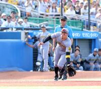 ラルフとショコラ　阪神タイガース　佐藤輝明選手　守備手袋 後半戦も頑張ろう🐯 #阪神タイガース #右京の眉毛は #かもめ
