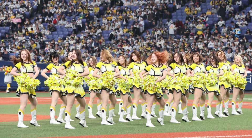 阪神 TigersGirlsが7・1から新ユニ「力強い