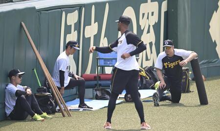 　ハーフパンツ姿で練習する佐藤輝（右端）ら阪神ナイン