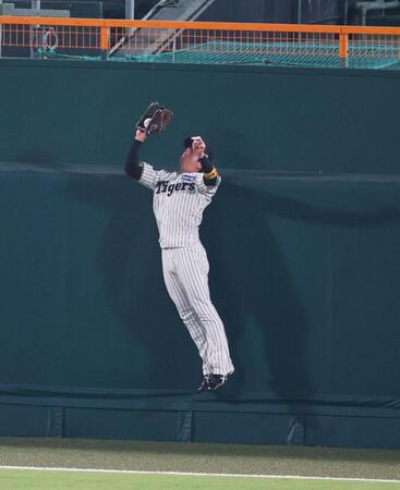 　７回、丸の打球をフェンス際で好捕する近本（撮影・立川洋一郎）
