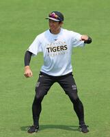 　短パン姿で練習する近本（撮影・立川洋一郎）