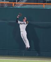 　７回、丸の打球をフェンス際で好捕する近本（撮影・立川洋一郎）