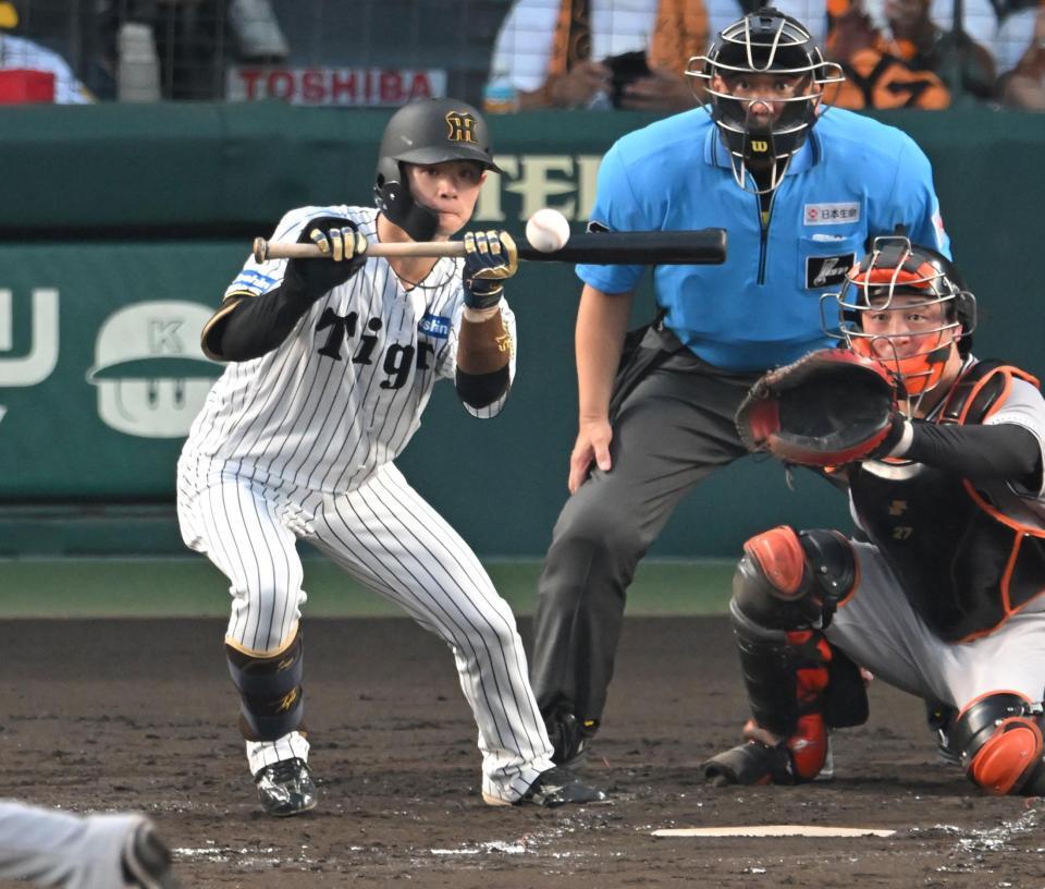 　３回、送りバントを決める中野（撮影・飯室逸平）