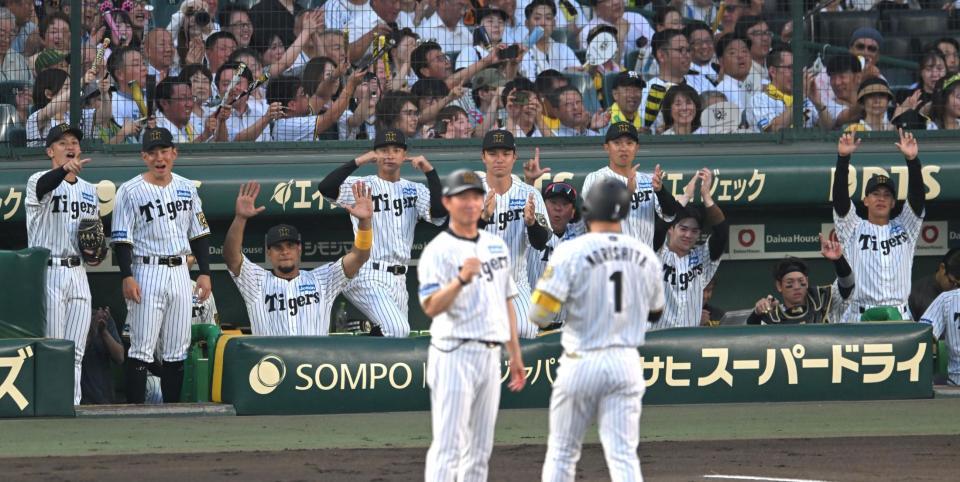 　３回、追加点に沸く阪神ナイン（撮影・飯室逸平）