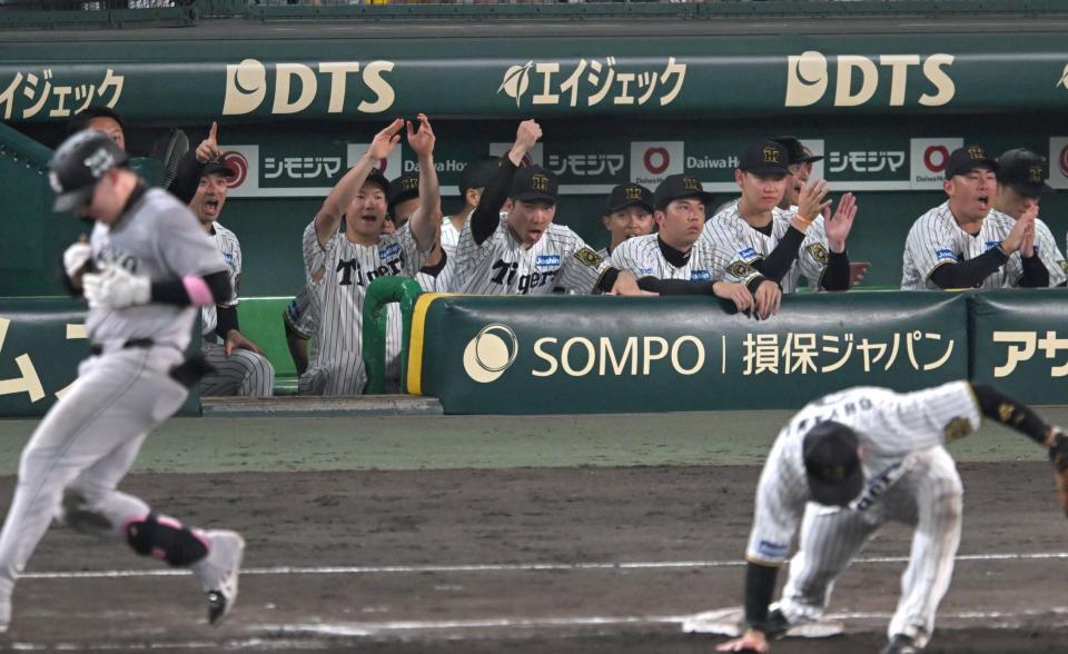 　勝利の瞬間、拳を突き上げる石井（中央）ら阪神ナイン（撮影・飯室逸平）