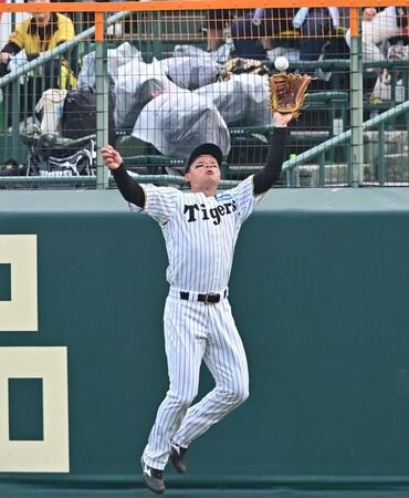 　１回、泉口の飛球をフェンス際で好捕する森下（撮影・西田忠信）