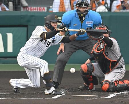 　１回、送りバントを決める中野（撮影・飯室逸平）