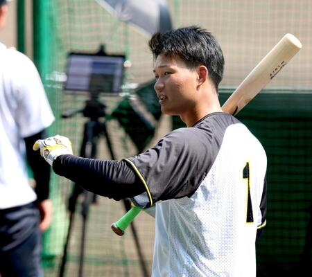 　打撃練習をする森下（撮影・立川洋一郎）