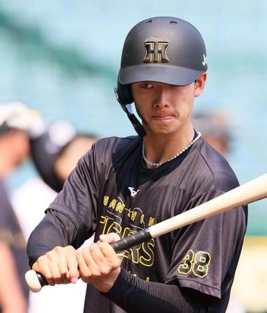 　打撃練習をする小幡（撮影・立川洋一郎）