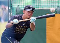 　バント練習をする伊藤将（撮影・立川洋一郎）