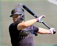 打撃練習をする大山（撮影・立川洋一郎）