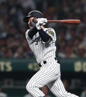 　５回、左前打を放つ坂本（撮影・北村雅宏）