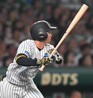 　５回、左前打を放つ近本（撮影・西田忠信）