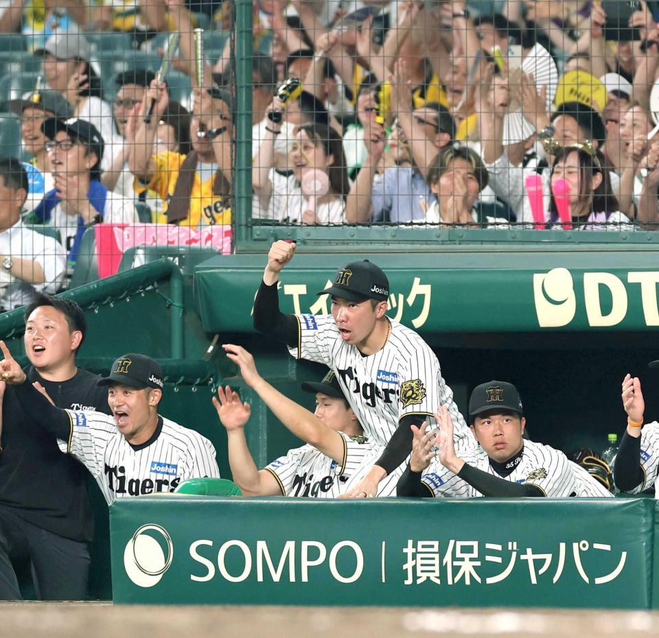 　勝利の瞬間、ベンチで拳を握る石井（中央）