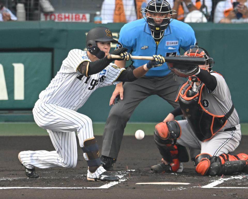 　１回、送りバントを決める中野（撮影・飯室逸平）
