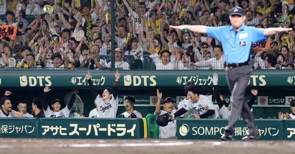　８回、森下のタッチアウト判定がリクエストの結果、セーフ判定となり、盛り上がる阪神ナイン（撮影・北村雅宏）