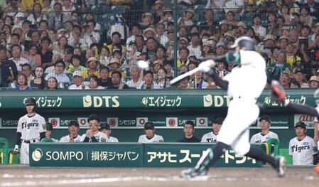 　９回、サヨナラ犠飛を放つ豊田（手前）を祈るように見るベンチの近本（左から２人目）＝３日