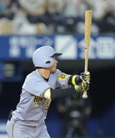 　８回、同点打を放つ近本（撮影・西岡正）