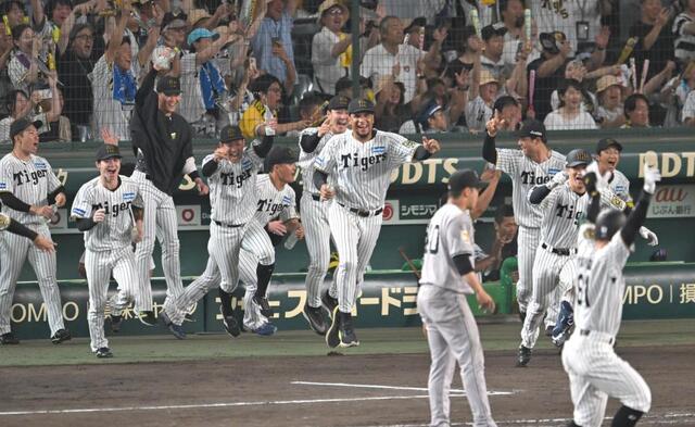 阪神　サヨナラ勝ちで勢い余った左腕