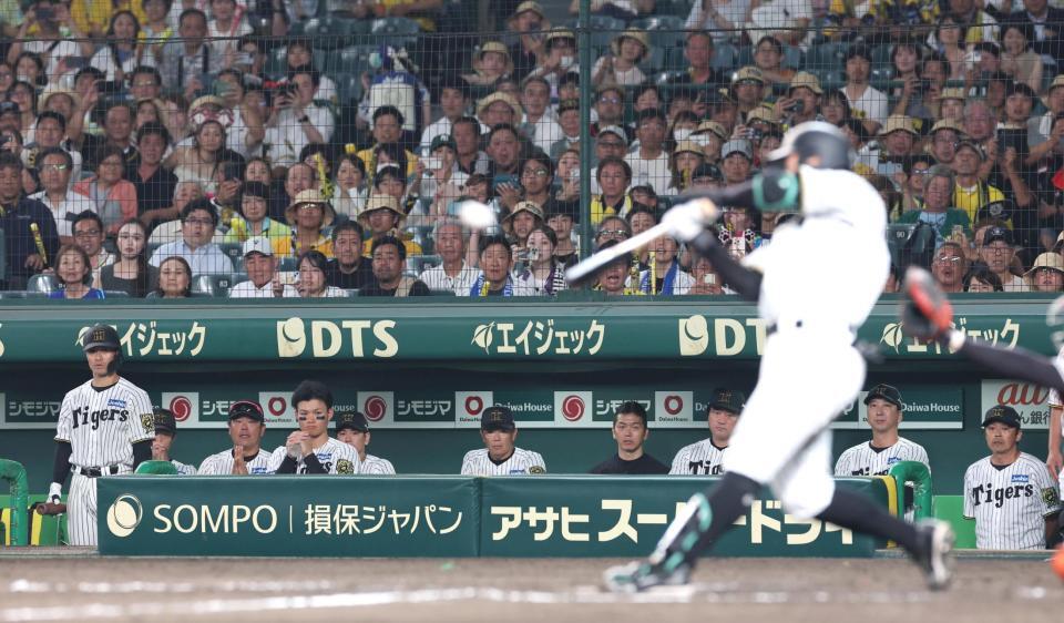 　９回、サヨナラ犠飛を放つ豊田（手前）を祈るように見るベンチの近本（左から２人目）＝３日