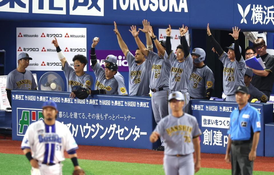 　８回、近本の同点適時打で盛り上がる村上（右端）ら阪神ベンチ（撮影・金田祐二）