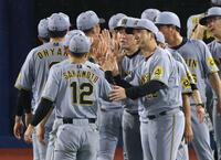 　ナインを迎える藤川監督（撮影・金田祐二）