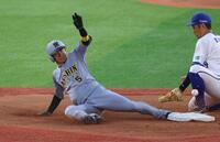 　３回、中野のとき二盗をきめる近本（撮影・金田祐二）