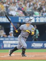 　１回、右越えソロを放つ佐藤輝（撮影・西岡正）