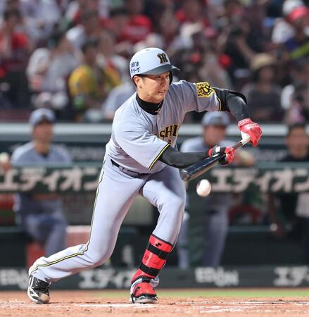 　４回、１死満塁でスクイズを試みる才木（撮影・市尻達拡）