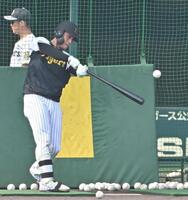 　打撃練習する木浪（撮影・西田忠信）