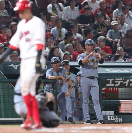 　６回、２死満塁で坂倉への押し出し死球を巡ってリクエストする藤川監督（撮影・市尻達拡）