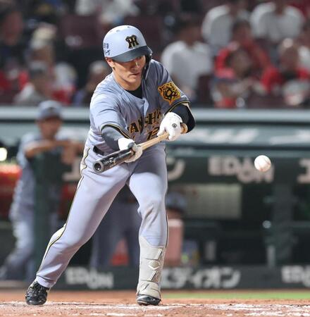 　７回、送りバントを決める坂本（撮影・市尻達拡）
