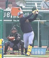 　打撃練習する森下（撮影・北村雅宏）