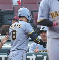 　２回、右越えソロを放った佐藤輝を出迎える藤川監督（撮影・市尻達拡）