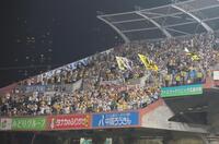 　阪神の勝利を喜ぶファン（撮影・北村雅宏）