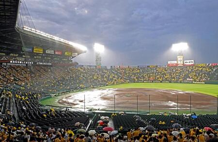 　降雨のため試合が中断され、再開を待つ阪神ファン（撮影・立川洋一郎）