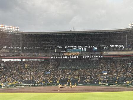 　雨のため、中断される甲子園