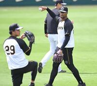 　高橋（２９）のキャッチボールを見つめるデュプランティエ（撮影・飯室逸平）