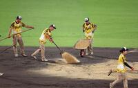 　降雨中断後、グラウンド整備を始める阪神園芸のスタッフ（撮影・立川洋一郎）
