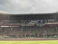 　雨のため、中断される甲子園