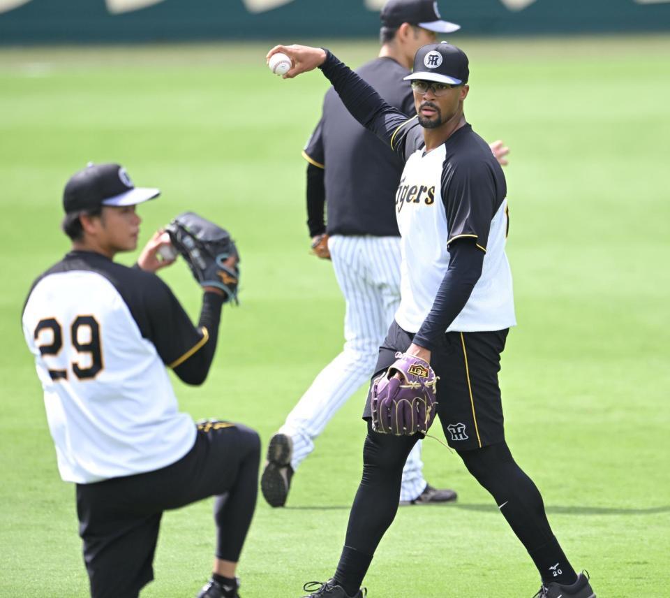 　高橋（２９）のキャッチボールを見つめるデュプランティエ（撮影・飯室逸平）