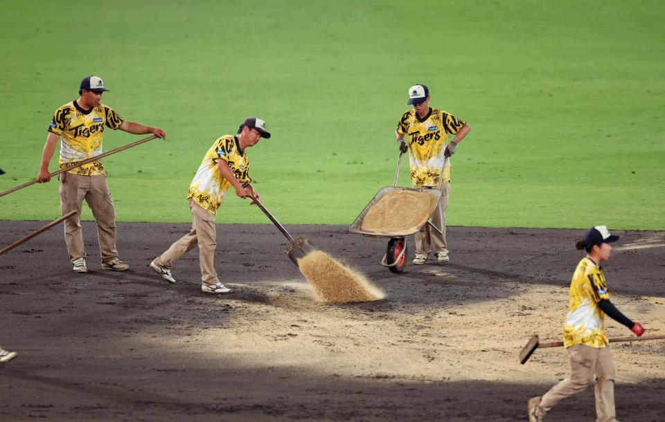 　降雨中断後、グラウンド整備を始める阪神園芸のスタッフ（撮影・立川洋一郎）