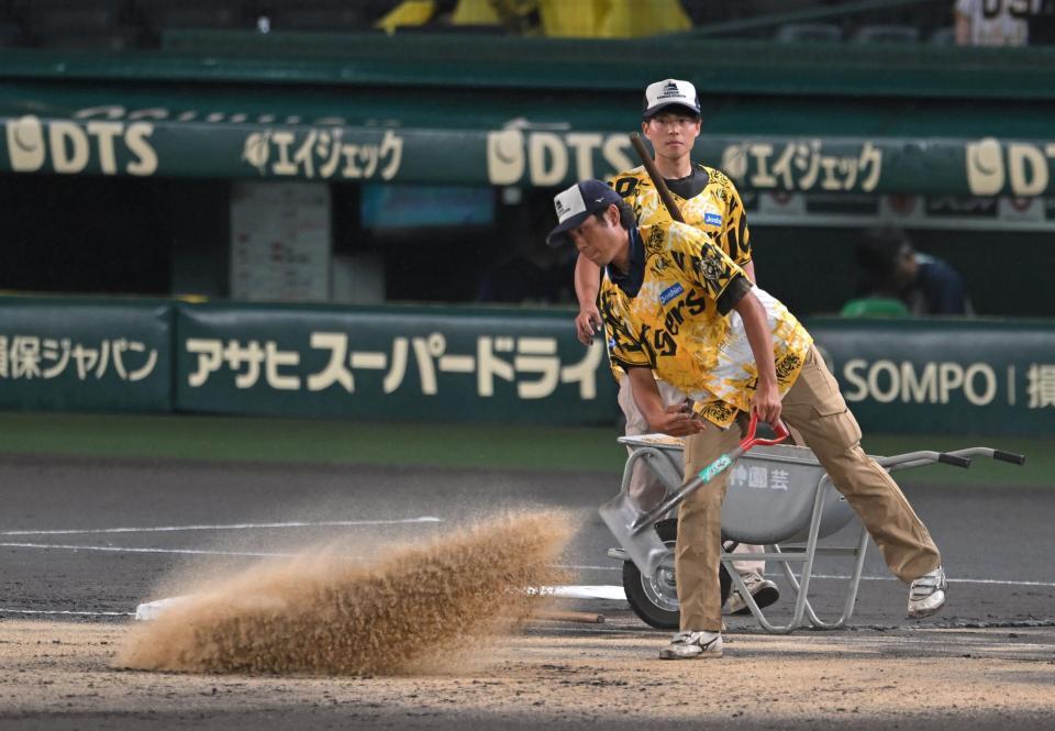　砂をまいて整備する阪神園芸のスタッフ（撮影・飯室逸平）