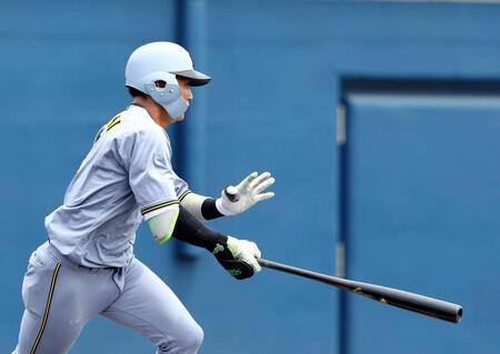 　２回、中前打を放つ木浪（撮影・山口登）