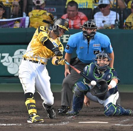 　４回、右前打を放つ佐藤輝（撮影・飯室逸平）